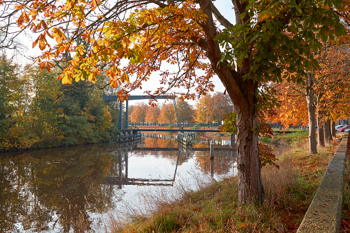 In the foreground  chestnut trees in autumn colours. Beneath the foliage a view on a drawbridge in Coevorden. The trees are standing beside a canal. Reflections in the water