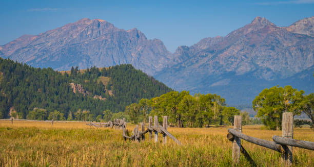 istock old wooden post fence 1350676746