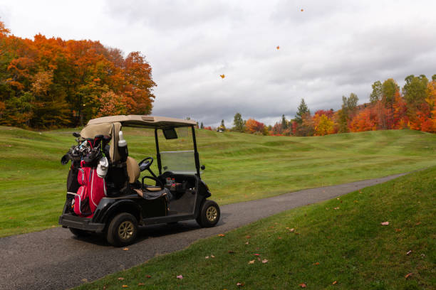 ゴルフ場のフィールド上のゴルフカート車 - golf cart golf bag horizontal outdoors ストックフォトと画像