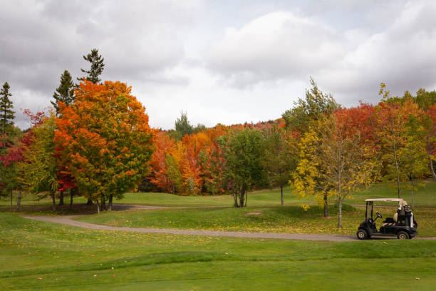 가을에 골프 코스에서 골프 카트 자동차 - golf cart golf bag horizontal outdoors 뉴스 사진 이미지