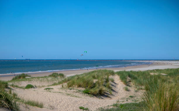 istock Dunes and beach near the sea 1350693708