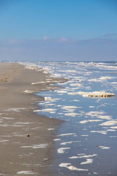 istock Sea foam on the beach 1350693865