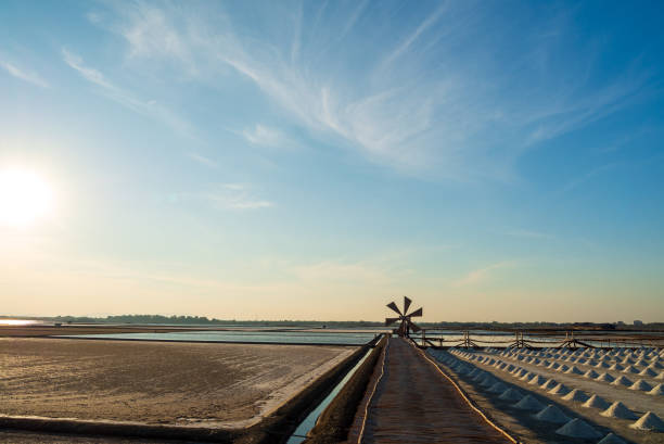 Landscape summer sea salt heaps, formed from natural seawater in open field known as \