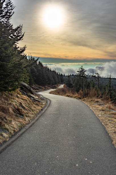 vue du lever du soleil depuis clingmans dome trail, parc national des great smoky mountains, caroline du nord, états-unis - great smoky mountains great smoky mountains national park mountain smoke photos et images de collection