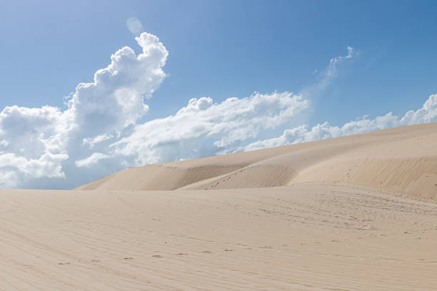 istock Beautiful aerial image of dunes 1350696913