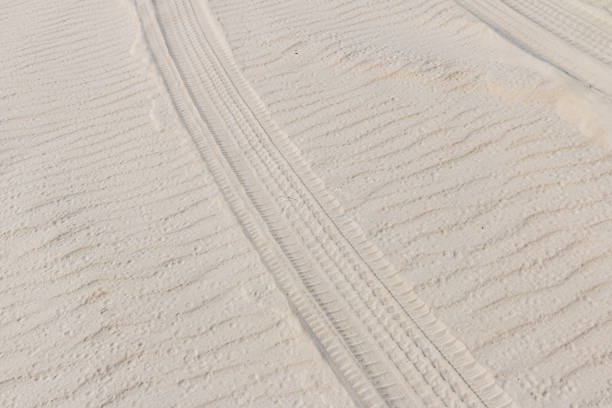 sendero de neumáticos en la arena de las dunas en la playa - new zealand fotos fotografías e imágenes de stock