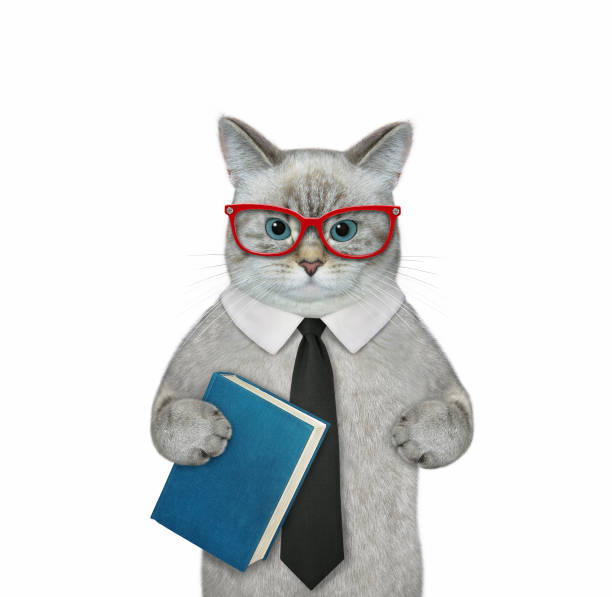 istock Cat ashen in glassis holds book 1350698031