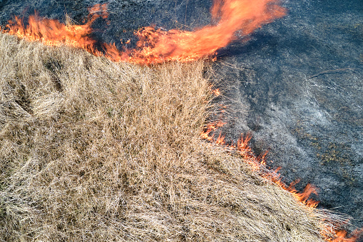 Aerial view of grassland field burning with red fire during dry season. Natural disaster and climate change concept.