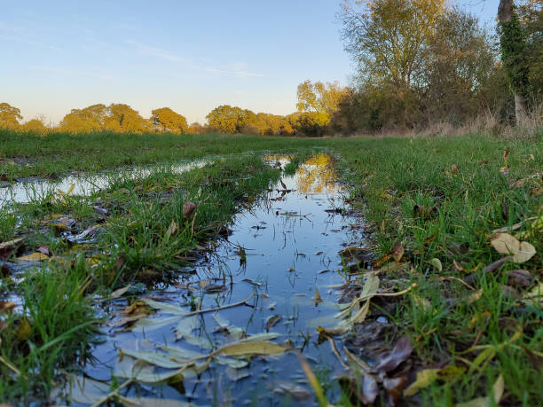 istock Muddy reflective puddles at autumn time. 1350698422