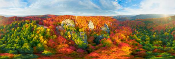 istock Dovbush Rocks in Bubnishche 360 ° panorama 1350698666