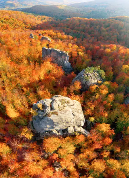 Photo of Dovbush Rocks in Bubnishche, Carpathians.