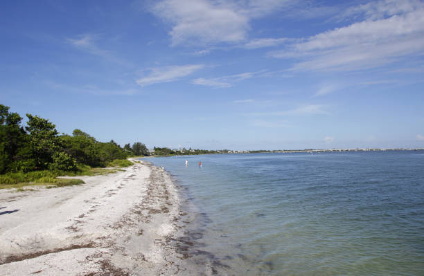 istock Beaches of Sanibel 1350703814