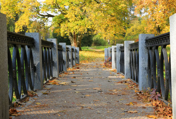 istock Bridge in autumn park 1350704096