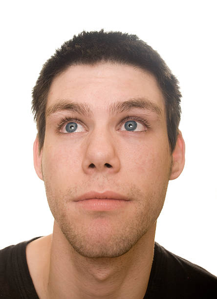 istock Scruffy face portrait series 135070789