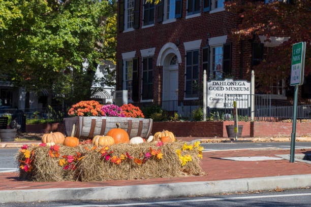 Displays of hay bales with pumpkins and potted mums add seasonal color in front of the Dahlonega Gold Museum, in the Old Lumpkin Courthouse, on the public square in Dahlonega, Georgia stock photo