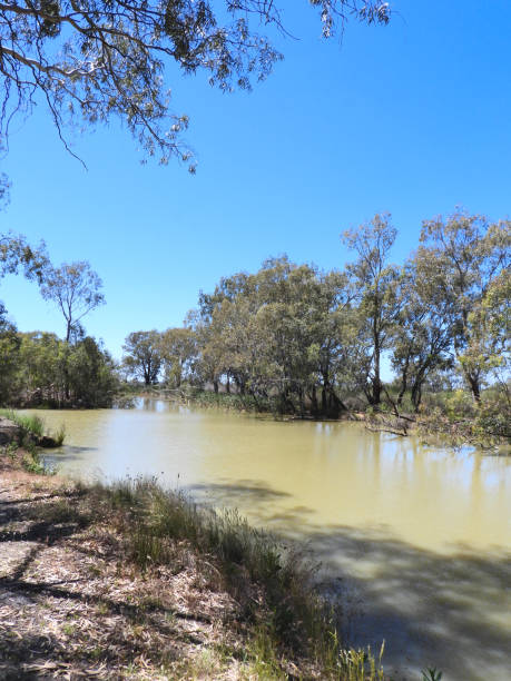 istock Kerang, Victoria, Australia 1350709167