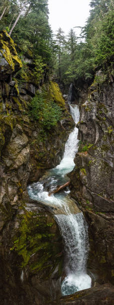 istock A small creek finding its way through mountainous landscape in the Mt Rainier NP 1350713375