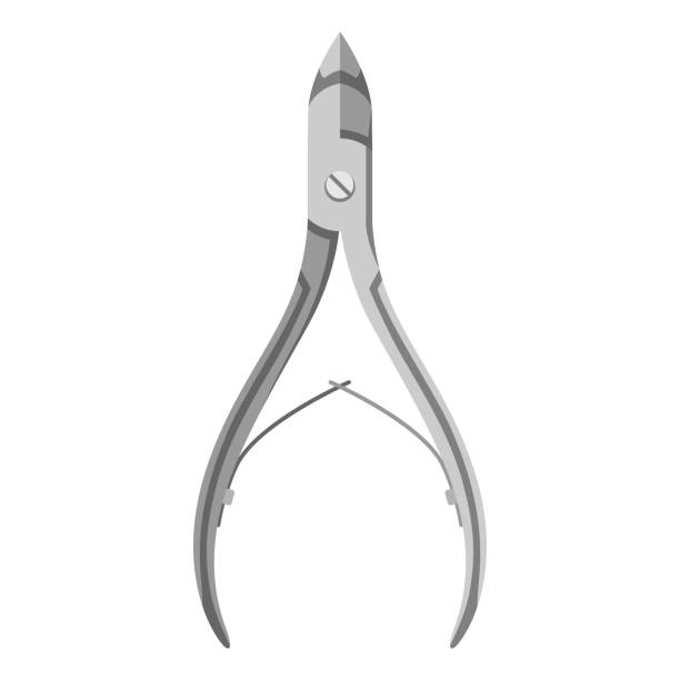 금속 손톱 큐티클 집게. 전문 매니큐어 및 페디큐어 도구. - pliers stock illustrations