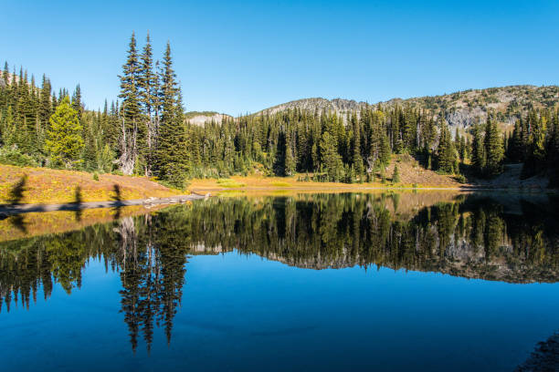 istock Scenic reflection from Shadow Lake in Mount Rainier National Park 1350717386