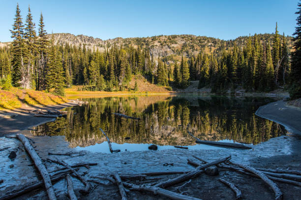 istock Scenic reflection from Shadow Lake in Mount Rainier National Park 1350717387
