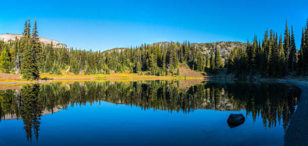 istock Scenic reflection from Shadow Lake in Mount Rainier National Park 1350717394