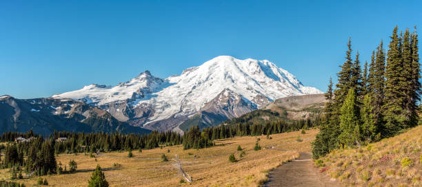 istock Cloudless view on Mt Rainier from Mt Fremont Lookout Trail 1350717469