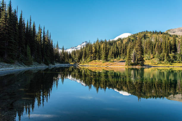 istock Scenic reflection from Shadow Lake and Mount Rainier in the background, Mt Rainier NP 1350718036