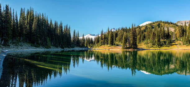 Scenic reflection from Shadow Lake and Mount Rainier in the background, Mt Rainier NP Scenic reflection from Shadow Lake and Mount Rainier in the background, Mt Rainier NP, USA pacific northwest stock pictures, royalty-free photos & images