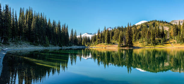 reflexão cênica do lago das sombras e do monte rainier ao fundo, monte rainier np - noroeste do pacífico - fotografias e filmes do acervo