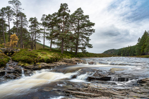 córrego da montanha escocesa - dee river scotland valley bridge - fotografias e filmes do acervo