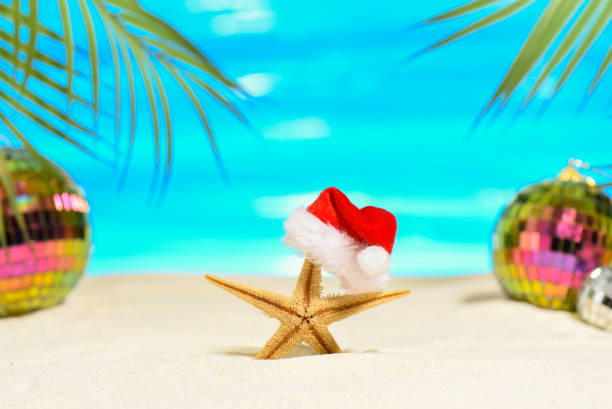 istock Tropical Merry Christmas concept. 1350719819