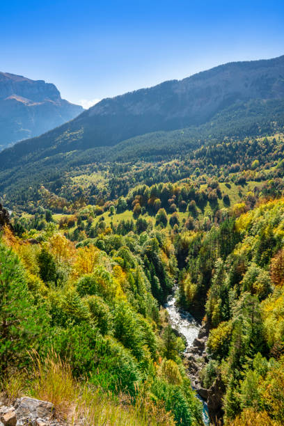 istock Ordesa Pyrenees in Huesca Ordiso valley at autumn and Ara river 1350720837