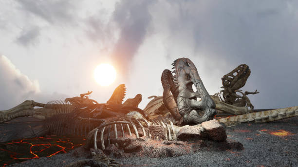 corpi di dinosauro morti, scheletri di dinosauro dopo l'estinzione rendering 3d - animale estinto foto e immagini stock