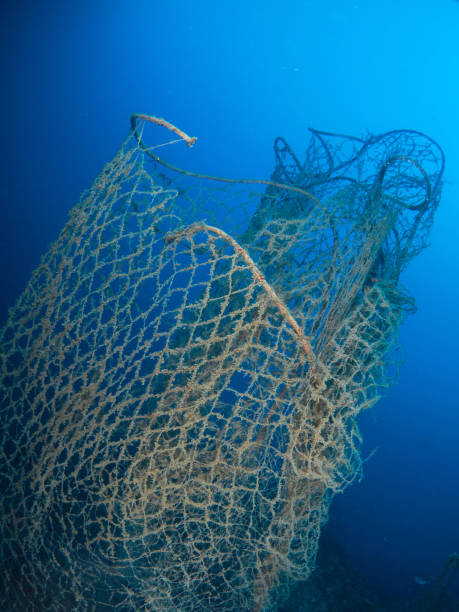 istock A fishing net abandoned on the seabed 1350721225