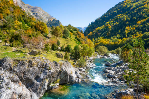 río ara en bujaruelo de ordesa valle de ordiso otoño en h - huesca fotografías e imágenes de stock