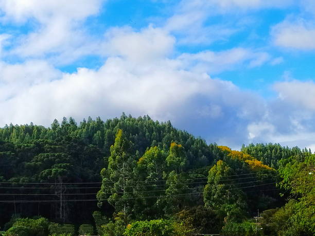 istock Santa Catarina rural scene 1350722642