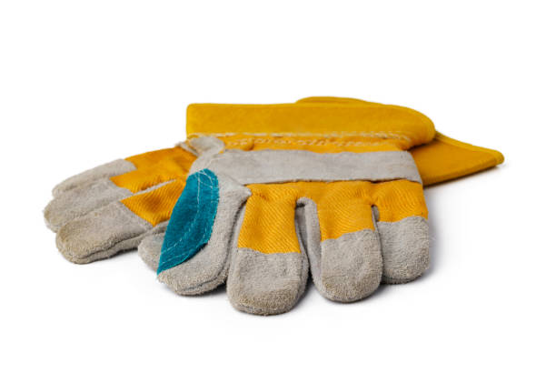 istock Pair of work gloves isolated on white background 1350722822