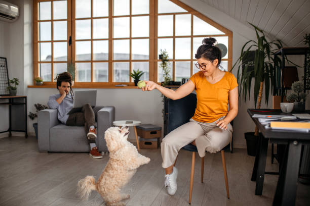 istock Studying and have some fun with cute dog 1350725079