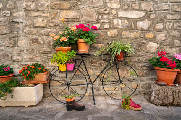 istock Echo or Hecho village in Valle de Hecho valley bicycke with flow 1350725881