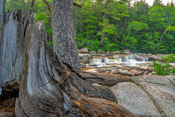 istock Along the Kancamagus Highway and the swift river 1350726990
