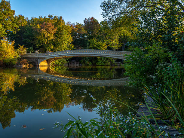 istock Bow Bridge,  Central Park, in early autumnow bridge 1350727076