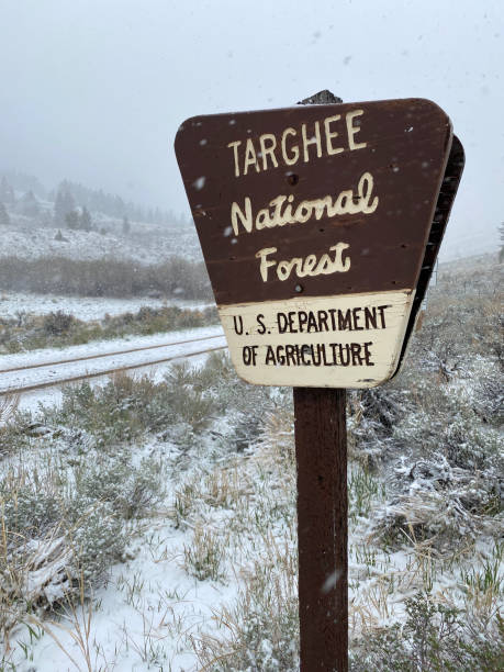 istock Targhee National Forest sign in snow 1350727956