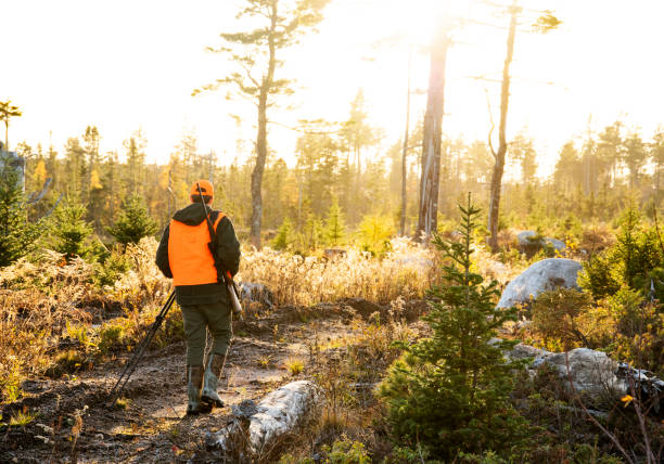 un chasseur de cerfs adolescent - chasser photos et images de collection