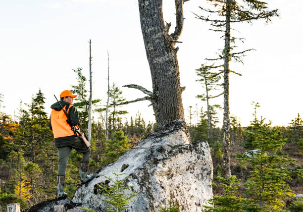 A teen deer hunting in the autumn in North America
