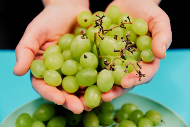 istock Hand is holding table grapes on blue background 1350730157