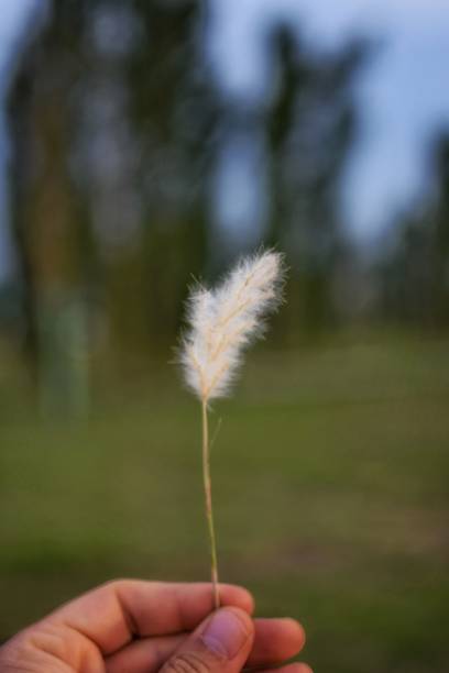 A spike in the left hand of a man