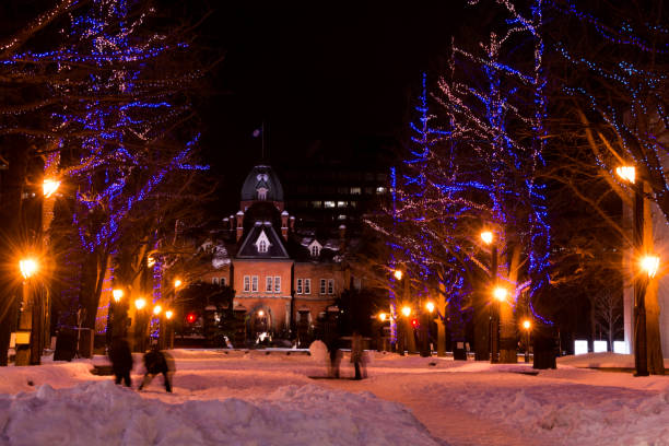 istock Winter town decorated with illuminations 1350731503