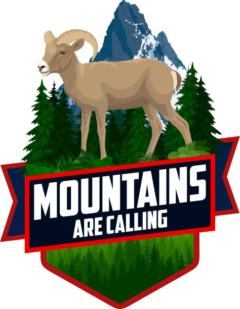 the mountains are calling. vector outdoor adventure inspiring motivation emblem logo illustration with desert bighorn sheep - joshua ağacı illüstrasyonlar stock illustrations