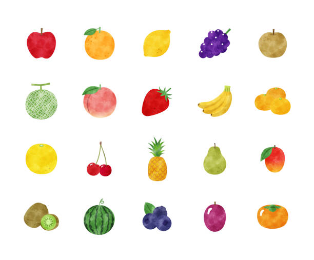 ilustraciones, imágenes clip art, dibujos animados e iconos de stock de juego de ilustraciones en acuarela de frutas - fruta ilustraciones