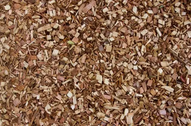 Photo of Abstract view of cedar wood chips for background pattern